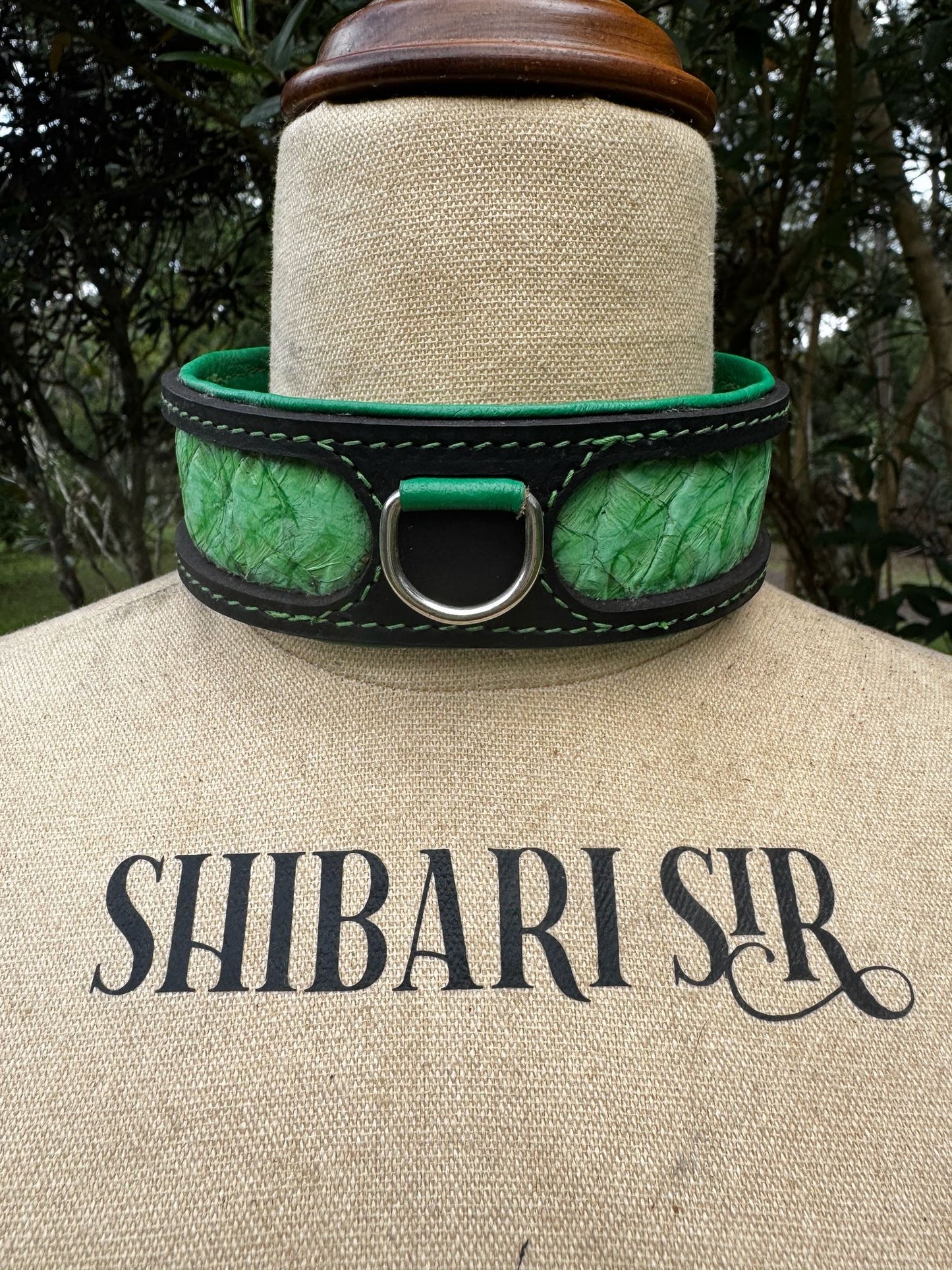 Peppermint Fairy floss collar- black with peppermint barramundi skin inlay