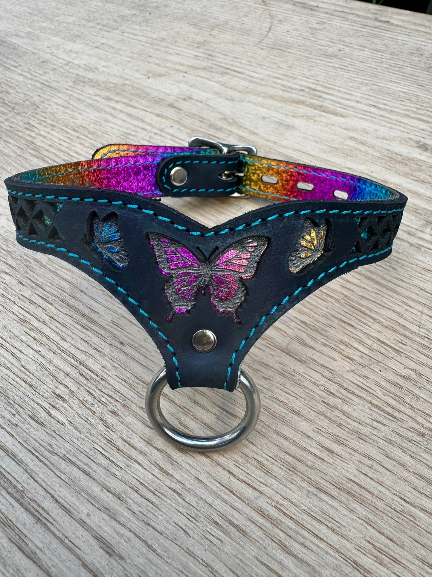 Rainbow Butterfly collar-  black with rainbow butterfly and blue stitching