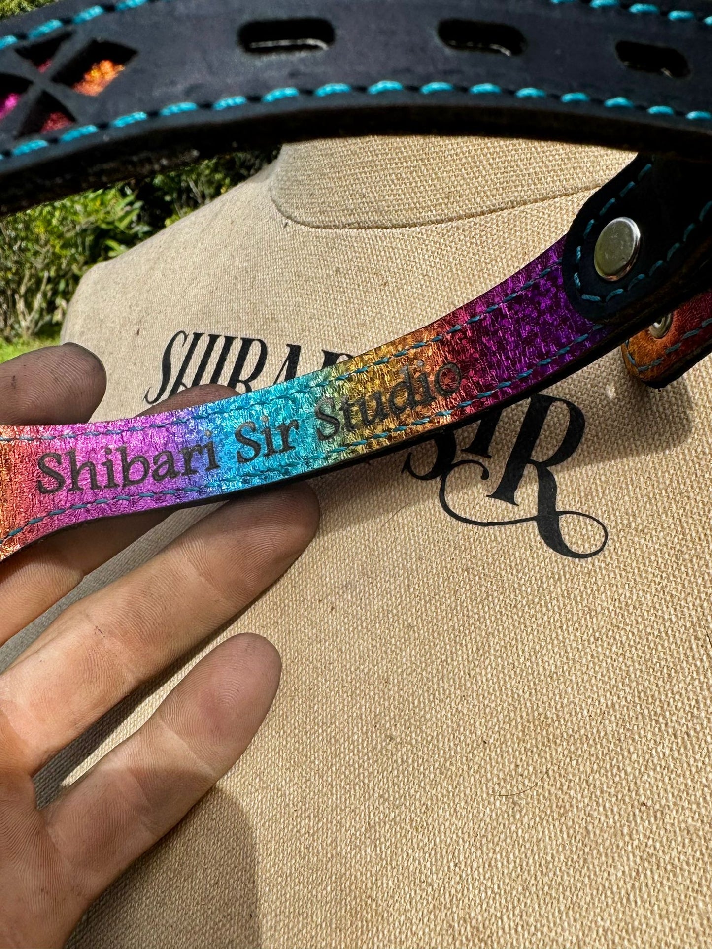 Rainbow Butterfly collar-  black with rainbow butterfly and blue stitching