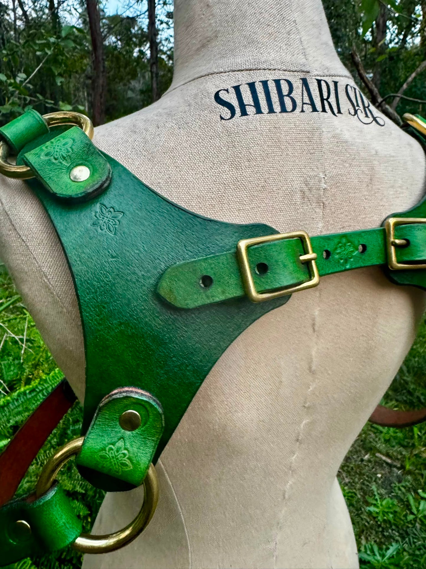 Handdyed Green Riggers Harness with brass hardware