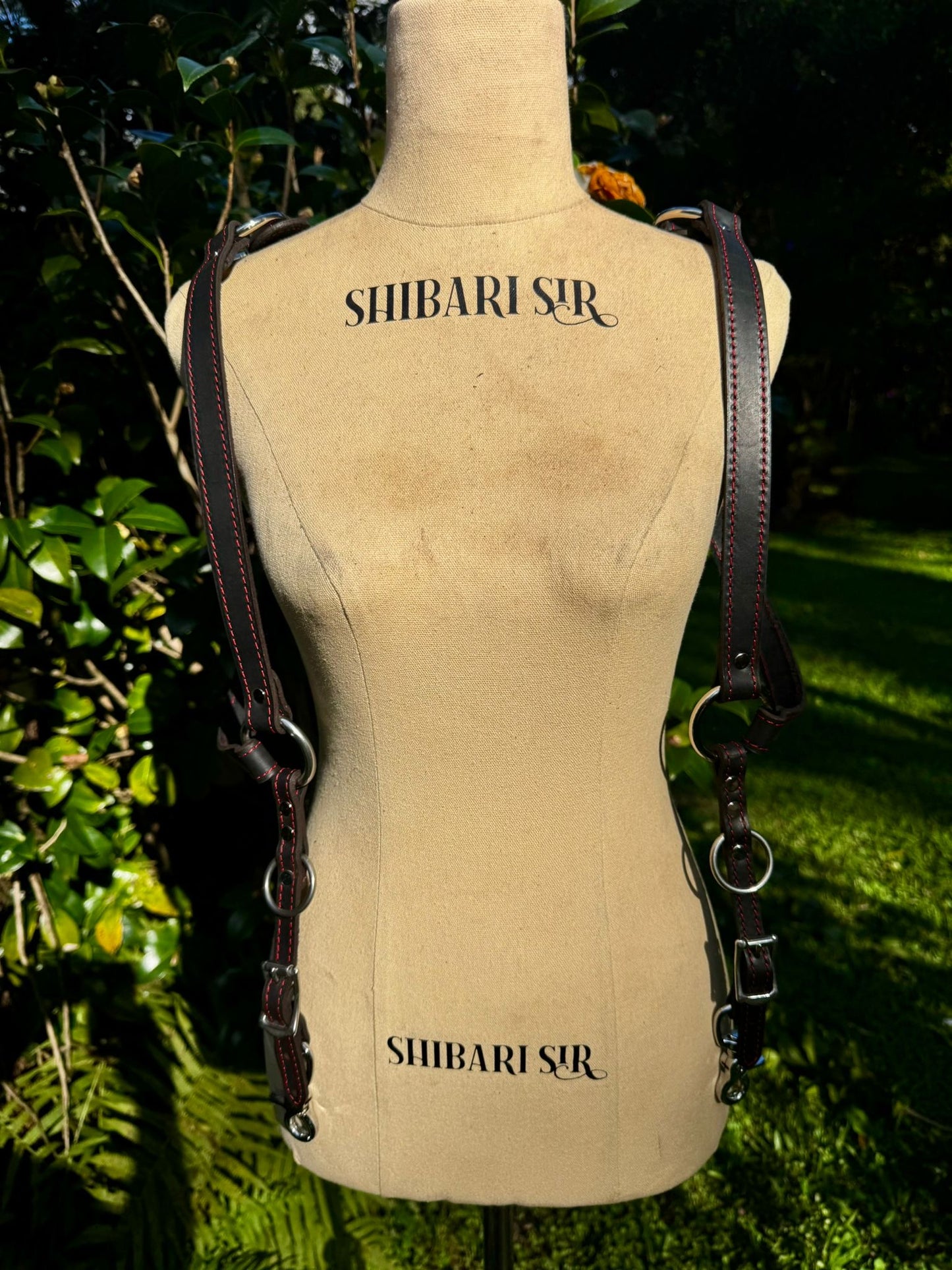 Red Back Black Riggers Harness