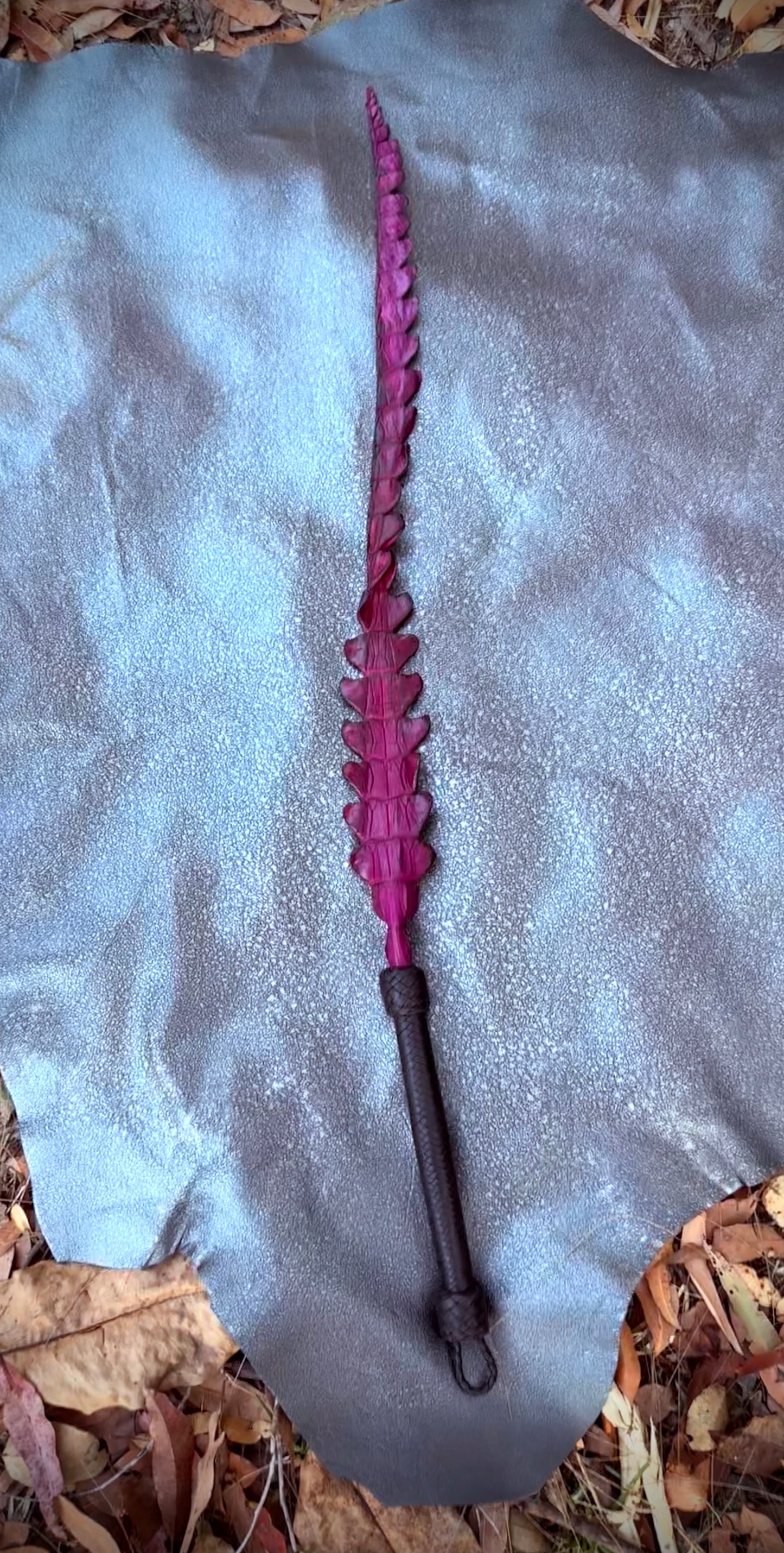 Purple dragon tail