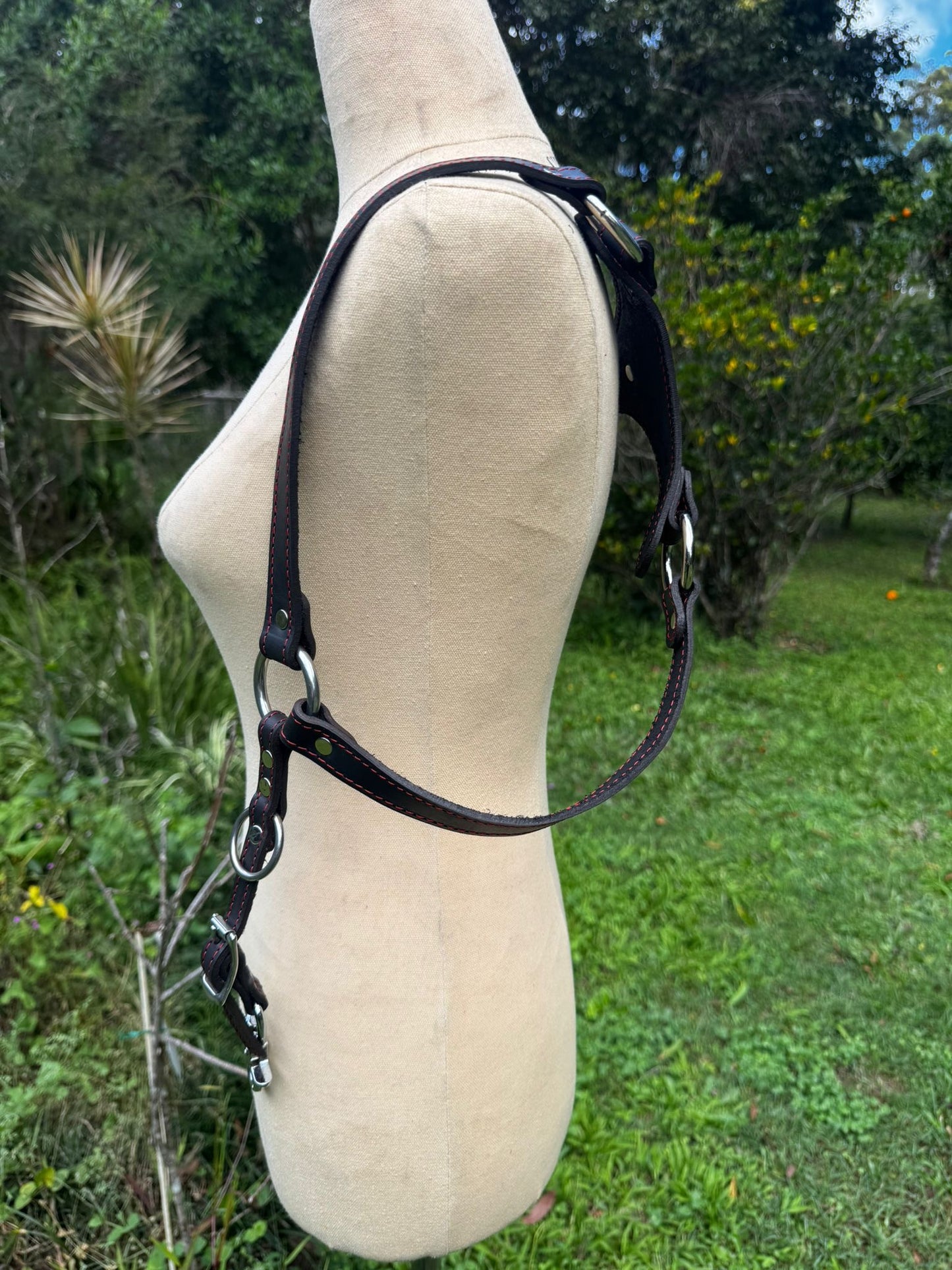 Red Back Black Riggers Harness