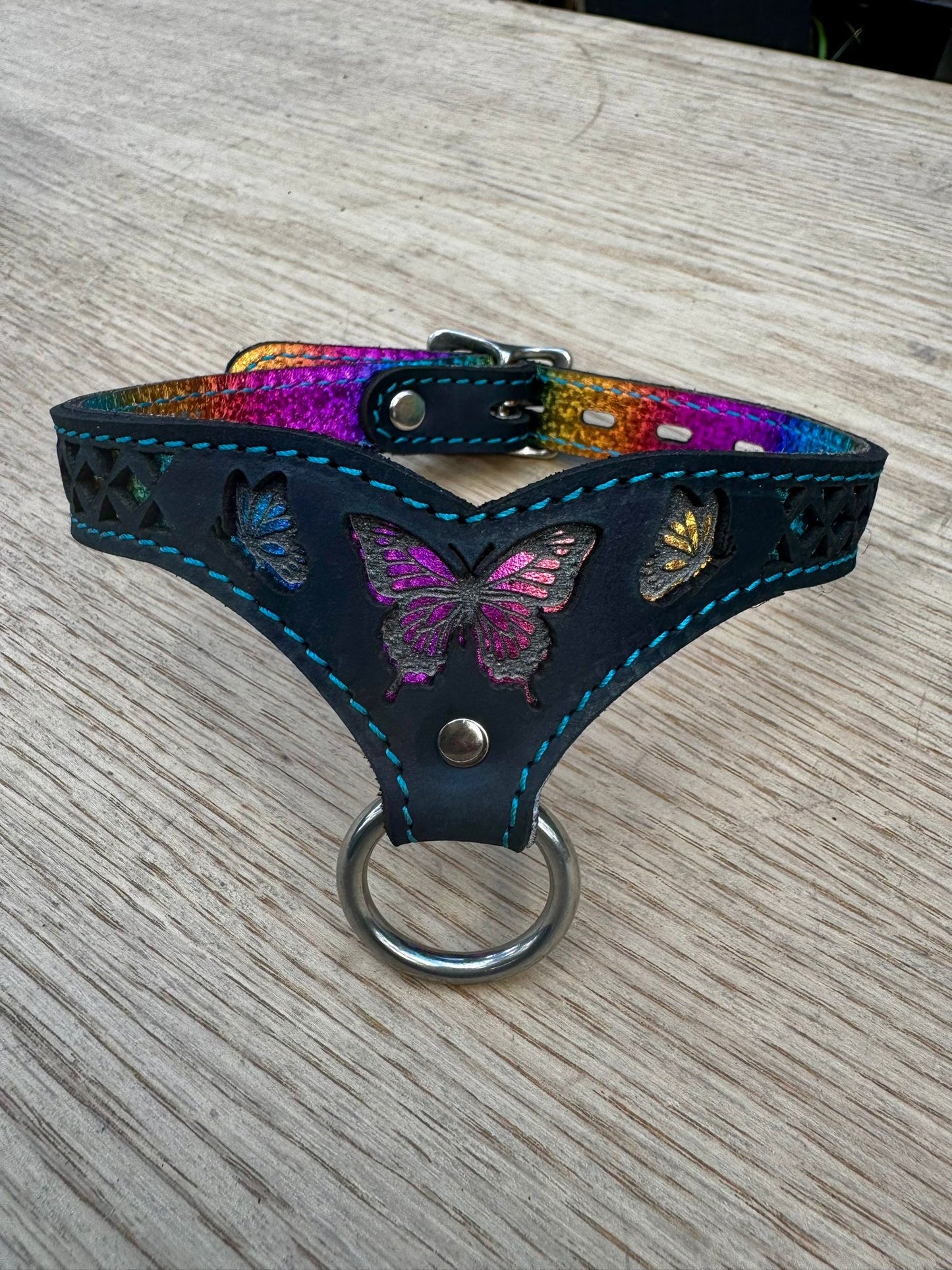 Rainbow Butterfly collar-  black with rainbow butterfly and blue stitching