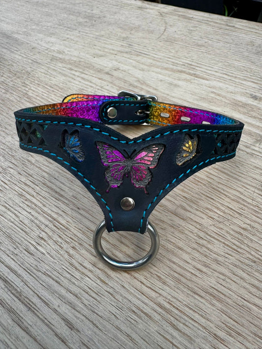 Rainbow Butterfly collar-  black with rainbow butterfly and blue stitching
