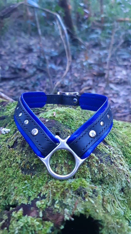 Play sub collar - blue