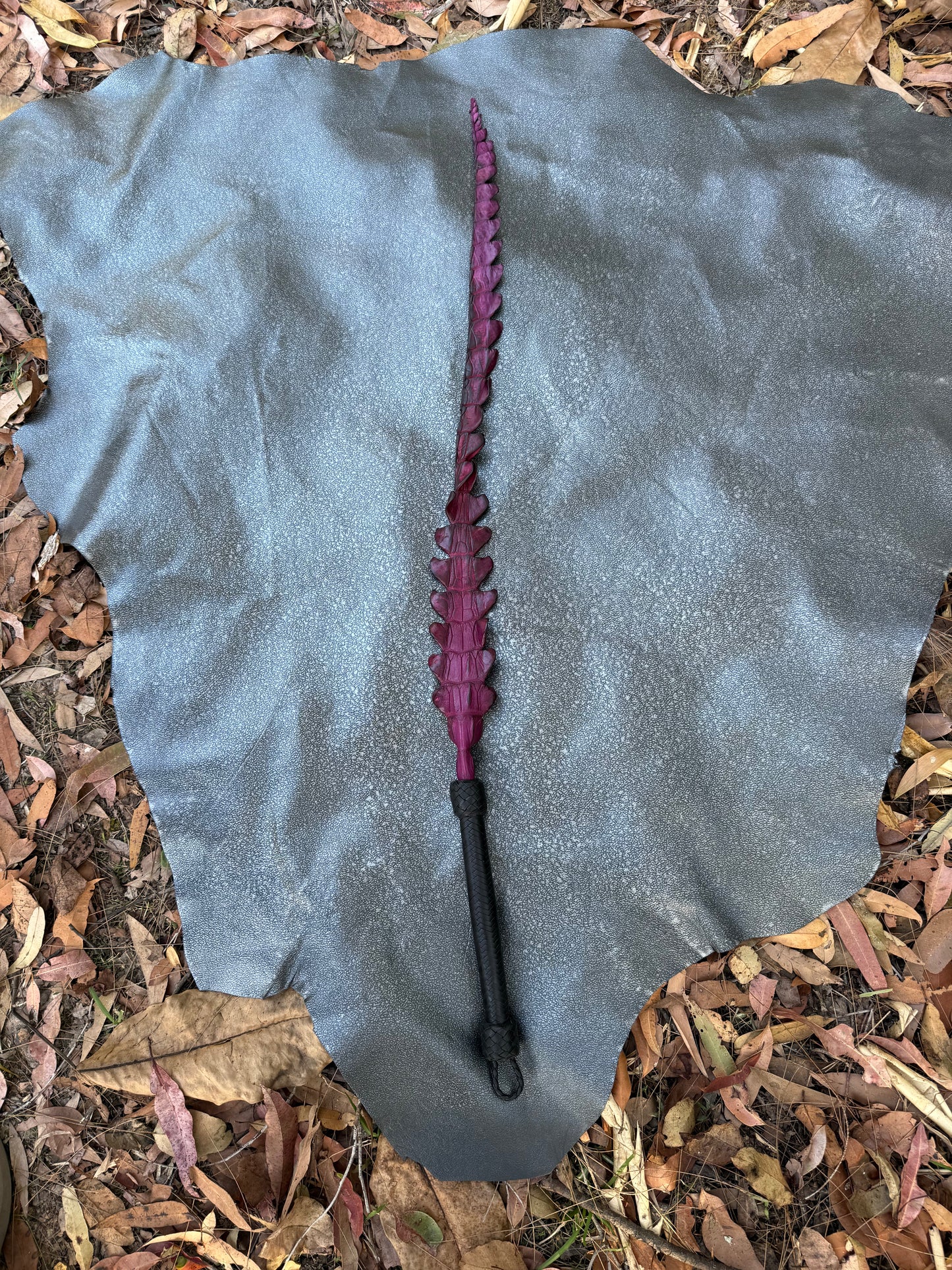 Purple dragon tail
