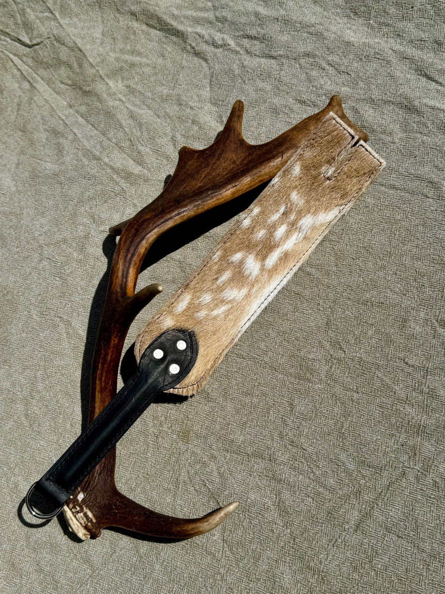 Deer flapper paddle - Australian Water buffalo