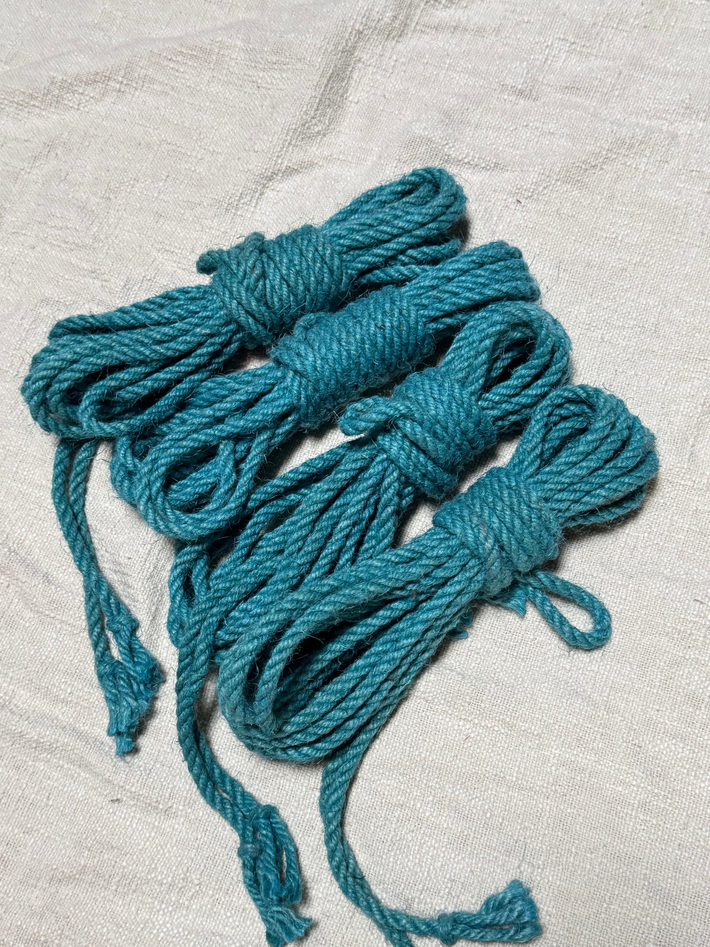 Teal  8m Jute Shibari Rope